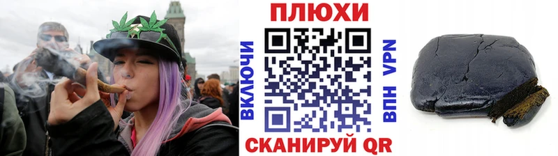 ГАШ Изолятор  наркота  Зеленогорск 