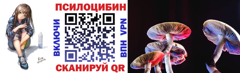 blacksprut ссылка  как найти закладки  Зеленогорск  Галлюциногенные грибы Cubensis 