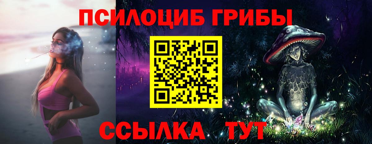 Галлюциногенные грибы Psilocybe Зеленогорск